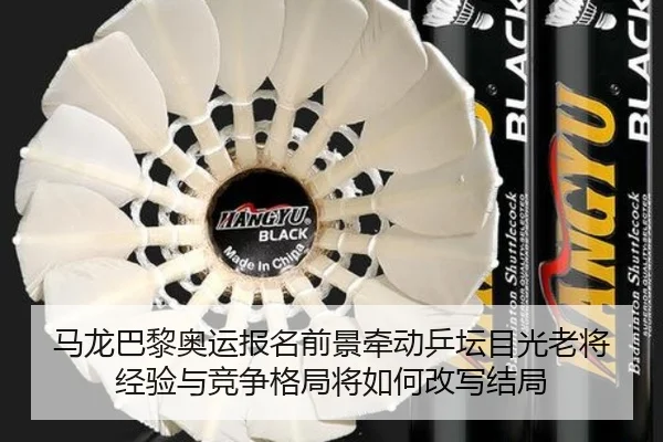 马龙巴黎奥运报名前景牵动乒坛目光老将经验与竞争格局将如何改写结局（kaiyun）